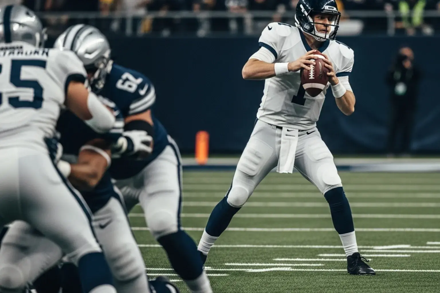 NFL quarterback dropping back to pass during a regular season game on a natural grass field